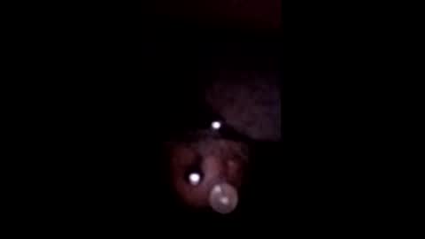 bcfalcon69 online show from 05/12/26, 05:48