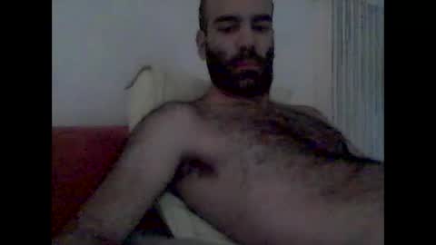 bear14250949 online show from 11/01/25, 08:05