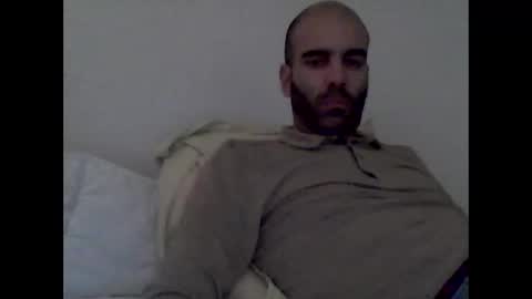 bear14250949 online show from 11/17/25, 06:14