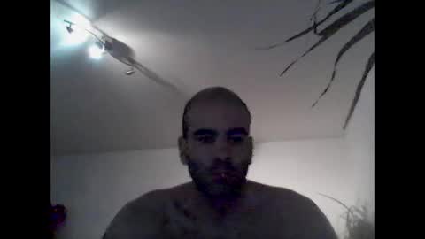 bear14250949 online show from 12/21/25, 09:05