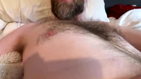 Snapshot of beard_papa chatting on 04/20/26, 11:28 beard_papa online show from 04/20/26, 11:28