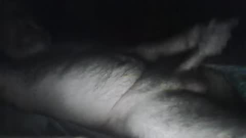 beastiejam2000 online show from 01/31/25, 04:25