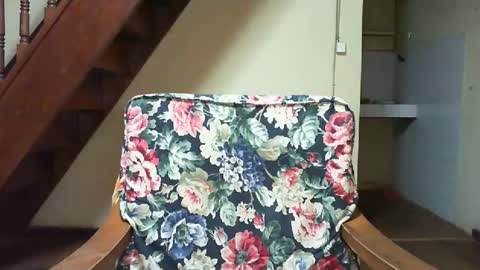 Eva online show from 02/22/26, 08:18