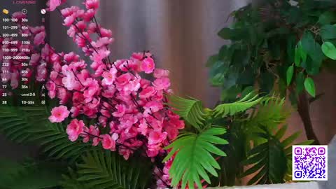 Snapshot of beauty_fuel chatting on 05/01/26, 09:47 Polly online show from 05/01/26, 09:47