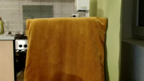 Snapshot of bebacksooon chatting on 12/17/25, 06:36 Raluca online show from 12/17/25, 06:36