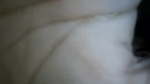 Snapshot of bebosaya93 chatting on 12/17/25, 07:25 bebosaya93 online show from 12/17/25, 07:25