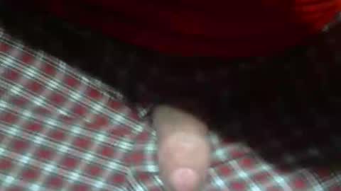 Snapshot of beer27 chatting on 02/05/26, 12:48 Reservoir Dogs online show from 02/05/26, 12:48