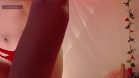 Belladonna  online show from 11/25/25, 03:39