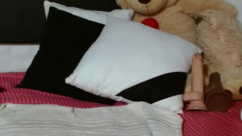 Snapshot of bellamy_sweet chatting on 01/12/25, 09:51 bellamy online show from 01/12/25, 09:51