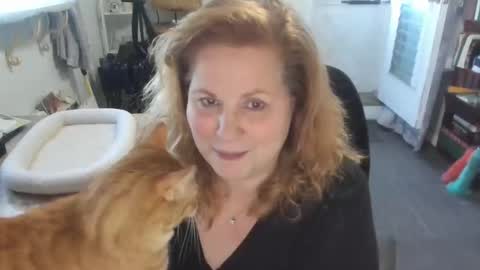 Bellavoca online show from 05/31/26, 11:17