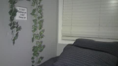 Snapshot of ben_dover10 chatting on 02/05/25, 11:34 Ben online show from 02/05/25, 11:34