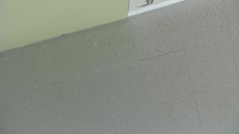 Snapshot of bennn54 chatting on 03/02/25, 07:45 Ben online show from 03/02/25, 07:45