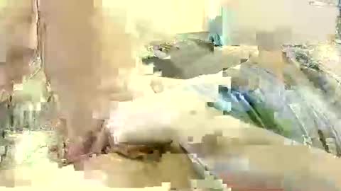 Snapshot of benutzmich0800 chatting on 12/08/24, 11:19 Benutzmich0800 online show from 12/08/24, 11:19