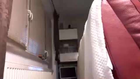 Snapshot of benutzmich0800 chatting on 02/14/26, 02:19 Benutzmich0800 online show from 02/14/26, 02:19