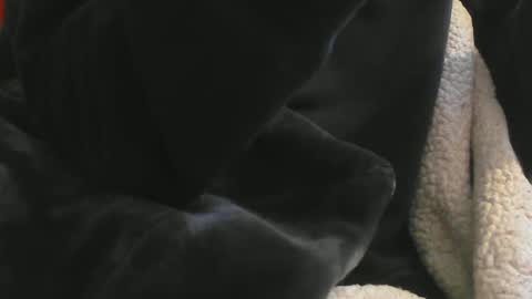 Snapshot of benx12123 chatting on 02/16/25, 06:21 benx12123 online show from 02/16/25, 06:21