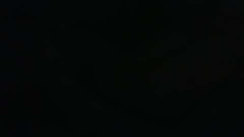 . online show from 03/15/26, 11:00