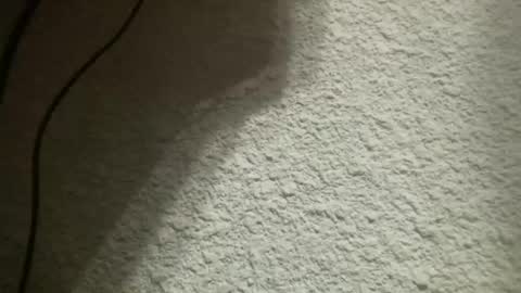 Snapshot of bgf32054 chatting on 02/04/25, 05:21 Bigfish123 online show from 02/04/25, 05:21