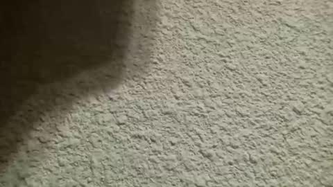 Snapshot of bgf32054 chatting on 10/10/25, 04:44 Bigfish123 online show from 10/10/25, 04:44