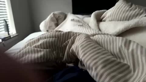 Snapshot of bgn111 chatting on 04/01/26, 11:02 bgn111 online show from 04/01/26, 11:02