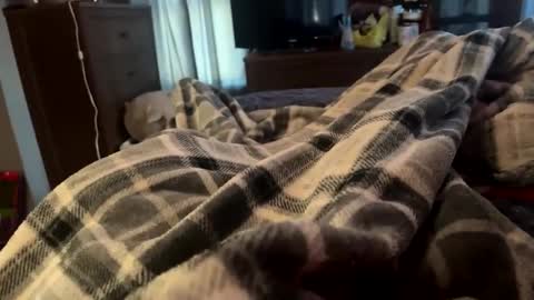 bi_guy_1993 online show from 02/25/25, 08:51