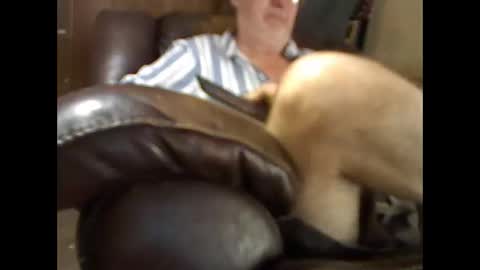 Snapshot of bigbenidick1 chatting on 11/26/25, 04:41 BB online show from 11/26/25, 04:41