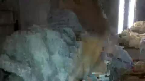 bigbootydimpless online show from 12/12/24, 02:15