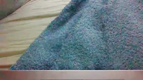 bigbootydimpless online show from 01/04/25, 03:50