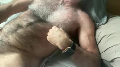 Snapshot of bigbush1 chatting on 01/17/25, 05:32 big bush online show from 01/17/25, 05:32