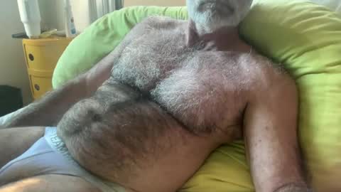 big bush online show from 06/24/26, 12:31