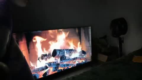 bigbuttsarena online show from 06/25/26, 04:56