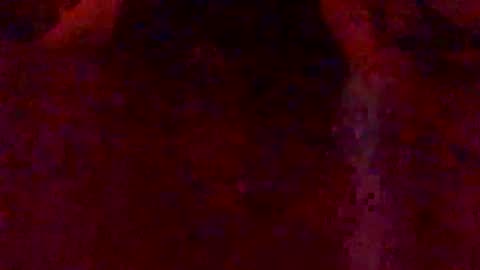 Hunny online show from 02/07/26, 03:10