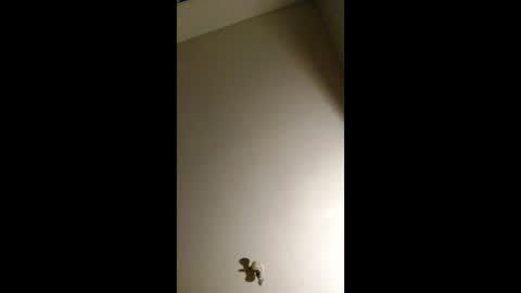 bigchorizo18 online show from 04/02/26, 05:16