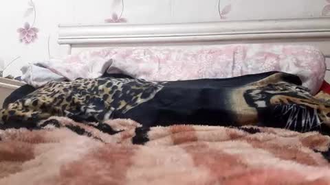 bigcock977654 online show from 02/23/25, 01:13