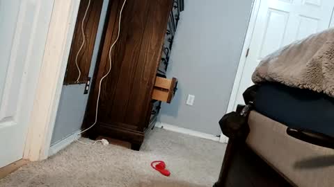 bigcockdaddy247 online show from 12/17/24, 05:07