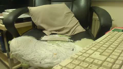 Snapshot of bigcurve chatting on 01/30/25, 08:21 bigcurve online show from 01/30/25, 08:21