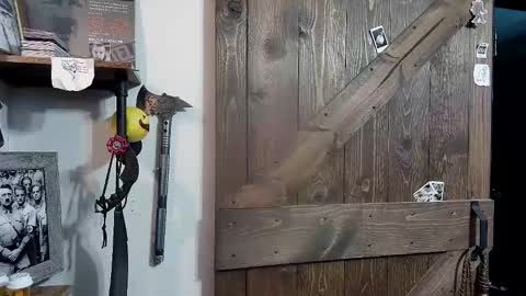 Snapshot of bigdbrillion chatting on 02/12/25, 04:23 Darryl online show from 02/12/25, 04:23