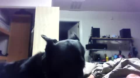 bigdickdaddy7201979564868 online show from 06/19/26, 06:40