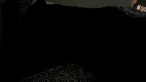 bigdickpapishampoo online show from 12/01/25, 02:00