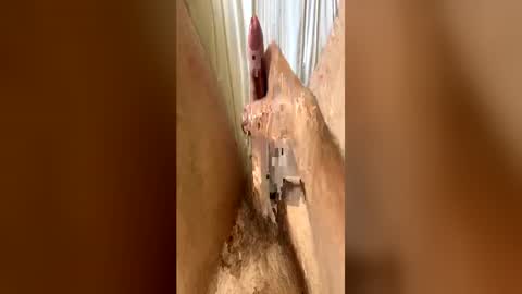 bigdickplaya_ online show from 06/23/26, 12:14