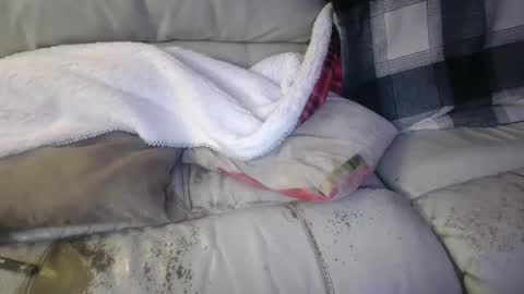 bigdicktrannynicole online show from 01/21/25, 02:11