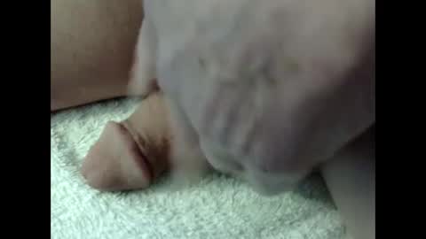 Snapshot of bigdipper58 chatting on 02/23/25, 05:18 bigdipper58 online show from 02/23/25, 05:18