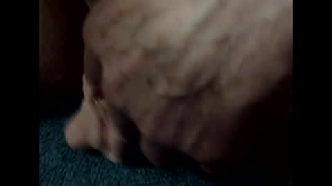 Snapshot of bigdipper58 chatting on 02/25/25, 01:41 bigdipper58 online show from 02/25/25, 01:41