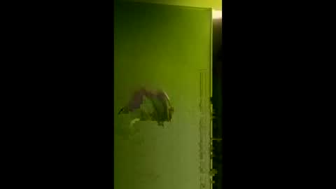 bigdog9thick online show from 04/06/26, 08:04