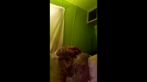 bigdog9thick online show from 04/29/26, 07:23