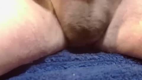 Snapshot of bigdoglog chatting on 02/10/25, 02:26 BigDog online show from 02/10/25, 02:26