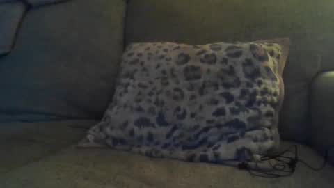 bigdt444420 online show from 11/17/25, 05:13