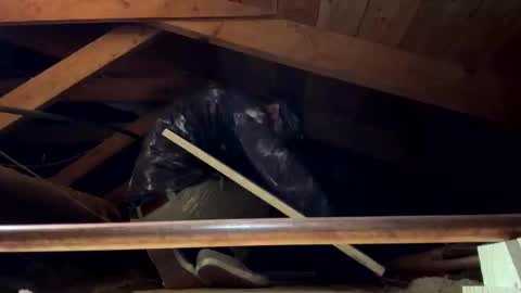 Snapshot of bigjim6646 chatting on 09/21/25, 03:02 bigjim6646 online show from 09/21/25, 03:02