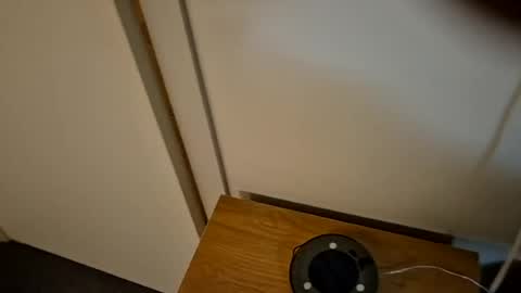 bigjoeyblow online show from 08/08/26, 08:49