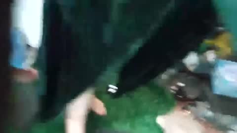 bigmanaround9 online show from 09/15/25, 08:47