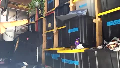 bigmanaround9 online show from 12/15/25, 08:35